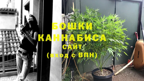 индика Россошь