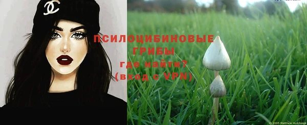 скорость Алзамай