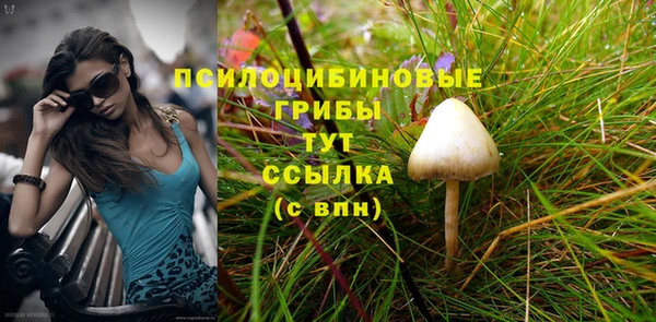 скорость Алзамай